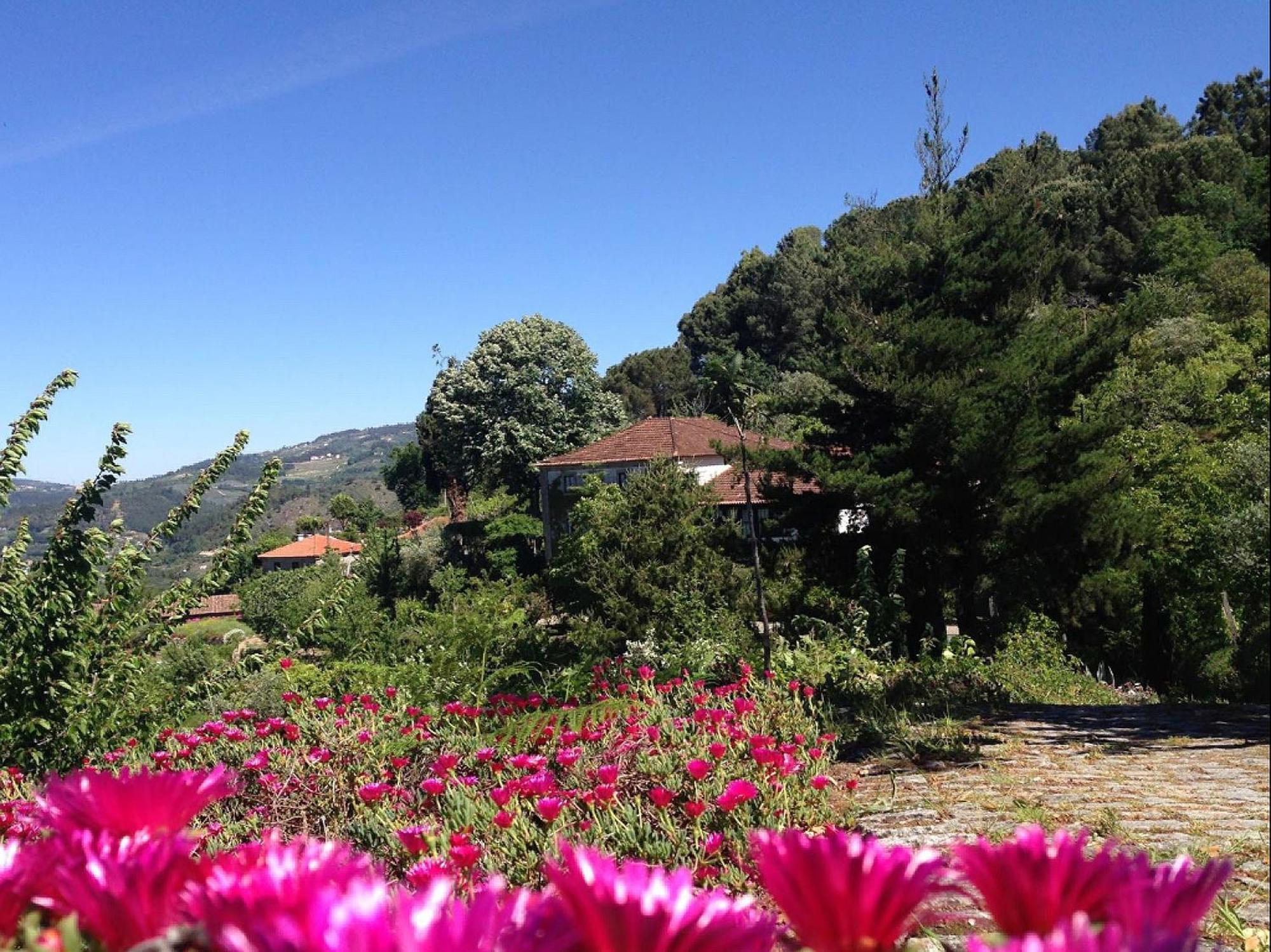 ArsDurium Douro hotel Cinfães Quarto foto